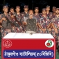 ঠাকুরগাঁওয়ে বিজিবি-পুলিশের যৌথ অভিযানে কষ্টিপাথরের মুর্তিসহ আটক-১