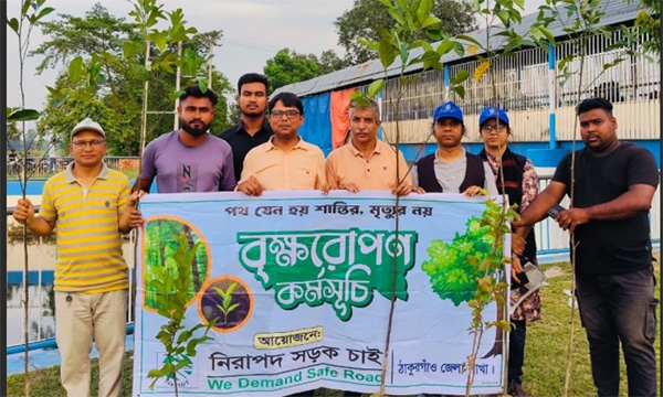 ঠাকুরগাঁওয়ে নিরাপদ সড়ক চাই’র পক্ষ থেকে বৃক্ষরোপণ কর্মসূচী