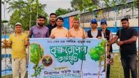 ঠাকুরগাঁওয়ে নিরাপদ সড়ক চাই’র পক্ষ থেকে বৃক্ষরোপণ কর্মসূচী