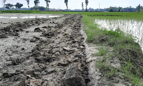 ঠাকুরগাঁওয়ের রুহিয়ায় চাষাবাদে বাধা দিয়ে জমি জবর দখলের চেষ্টার অভিযোগ