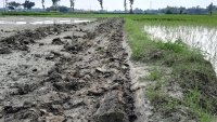 ঠাকুরগাঁওয়ের রুহিয়ায় চাষাবাদে বাধা দিয়ে জমি জবর দখলের চেষ্টার অভিযোগ